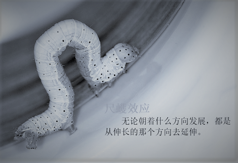 010.由“尺蠖效应”看债务危机