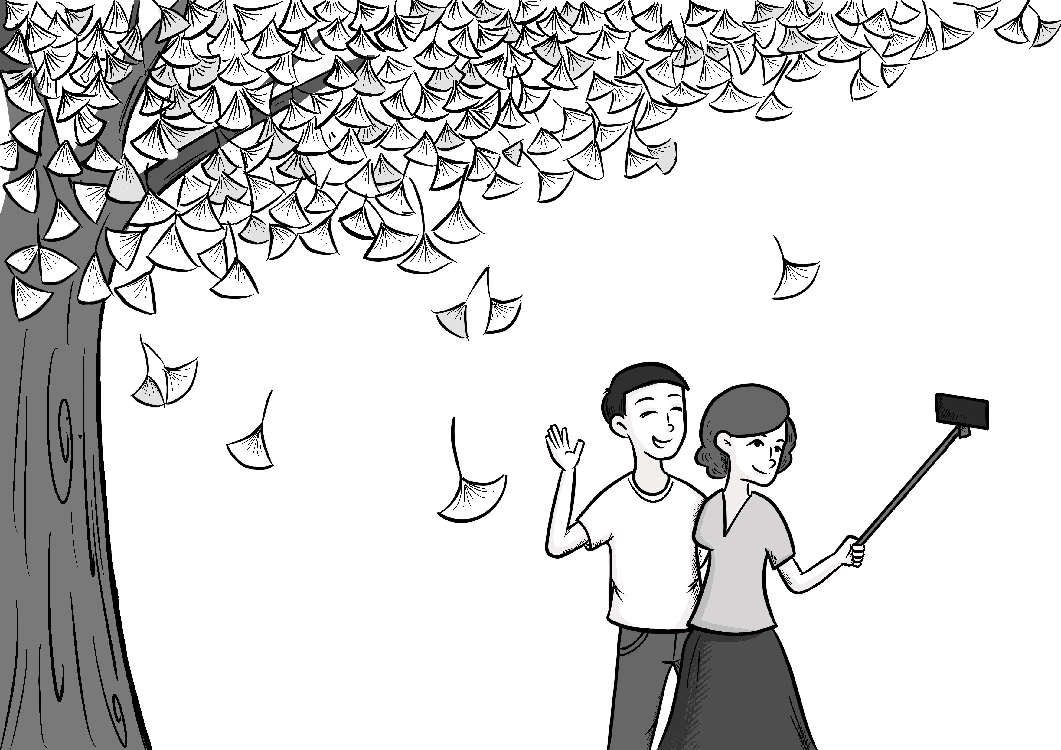002.又是一年银杏黄