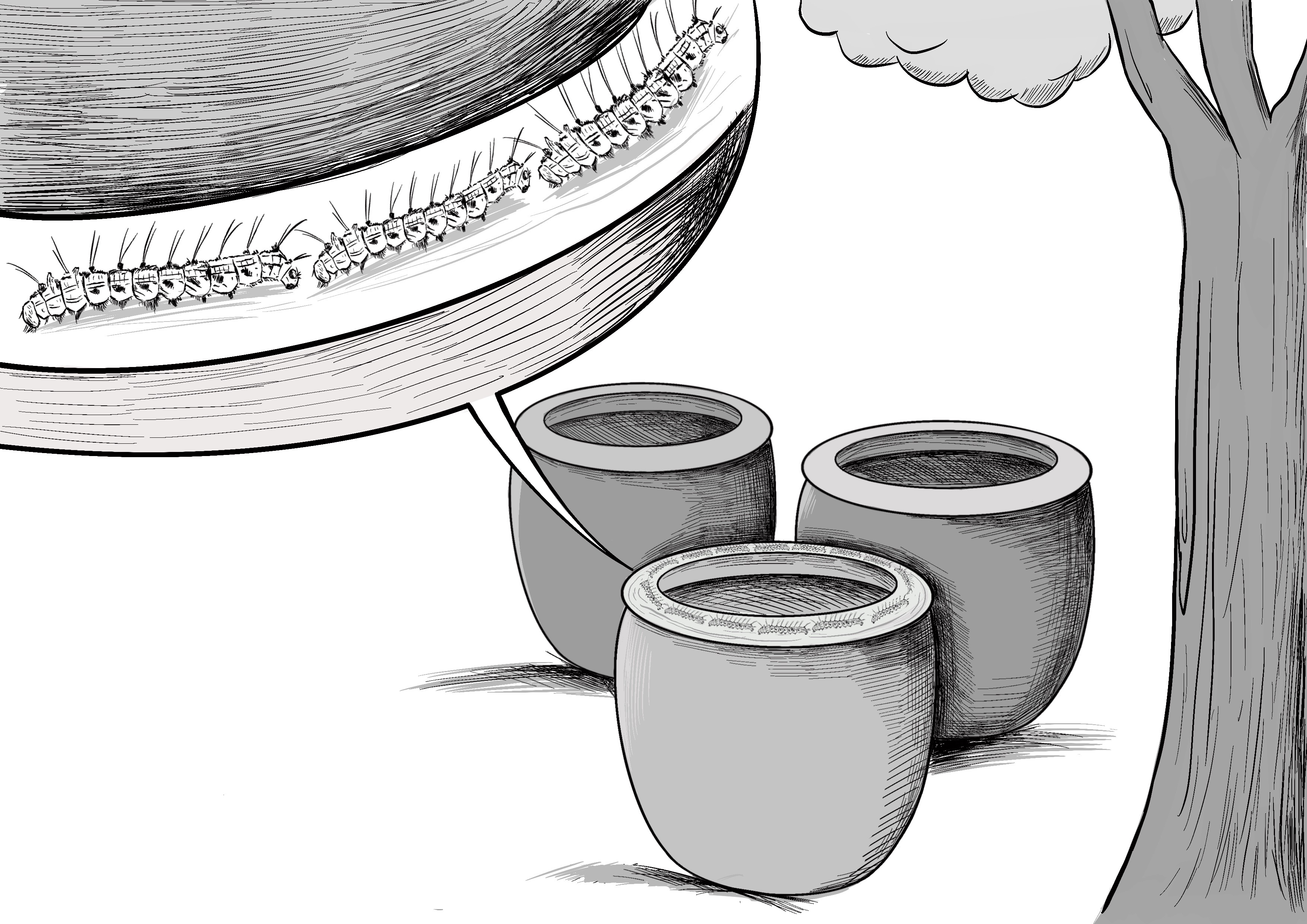 001.“无形的缸沿”