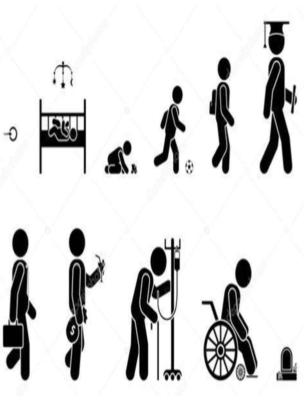 025.向死而生，活出生命的精彩