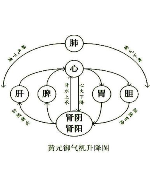 030.人体是个小宇宙