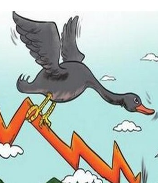 095.世事难料：如何应对突如其来的“黑天鹅”？