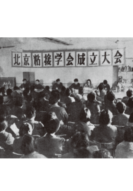 078．北京粘接学会的发展历程