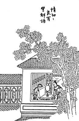 第19回  情切切良宵花解语  意绵绵静日玉生香
