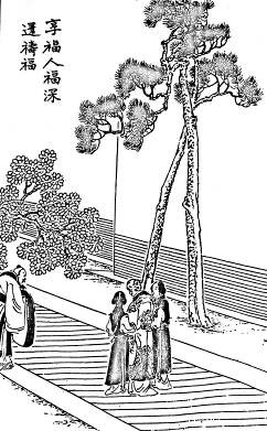 第29回  享福人福深还祷福  多情女情重愈斟情
