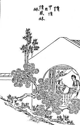 第34回  情中情因情感妹妹  错里错以错劝哥哥