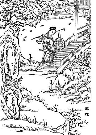 2. 林黛玉