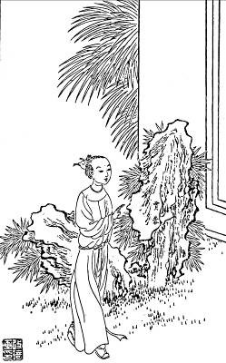 18. 贾蓉