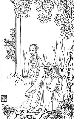 22. 贾芸