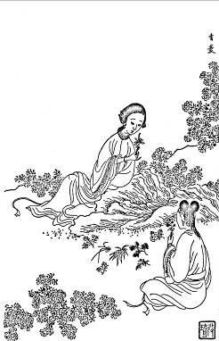 32.香菱