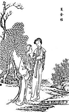 36.夏金桂和宝蝉