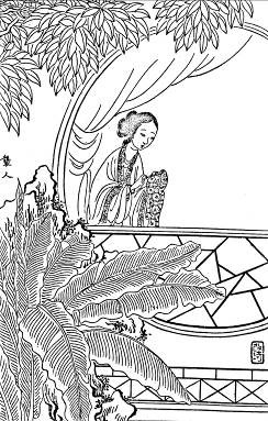 38. 袭人
