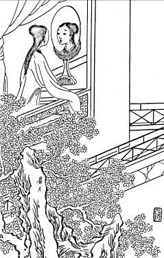 40. 麝月