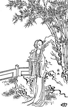 42. 紫鹃