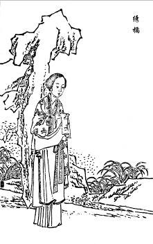 50. 绣橘和侍书