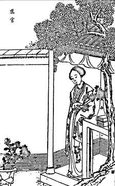 57. 蕊官、豆官、葵官