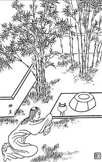 79.焙茗